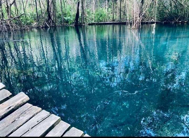Cenotes Cercanos