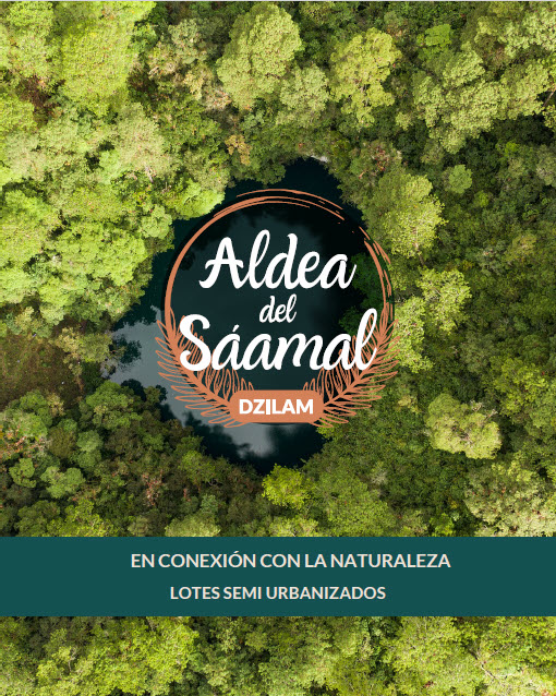 Desarrollo 7