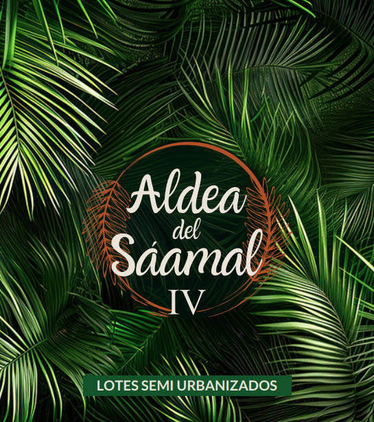Desarrollo 10