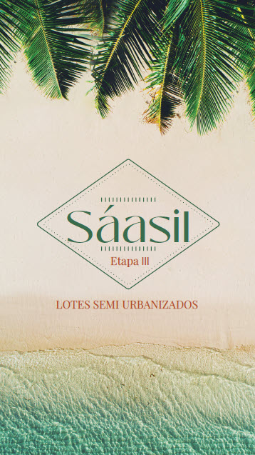 Desarrollo 5