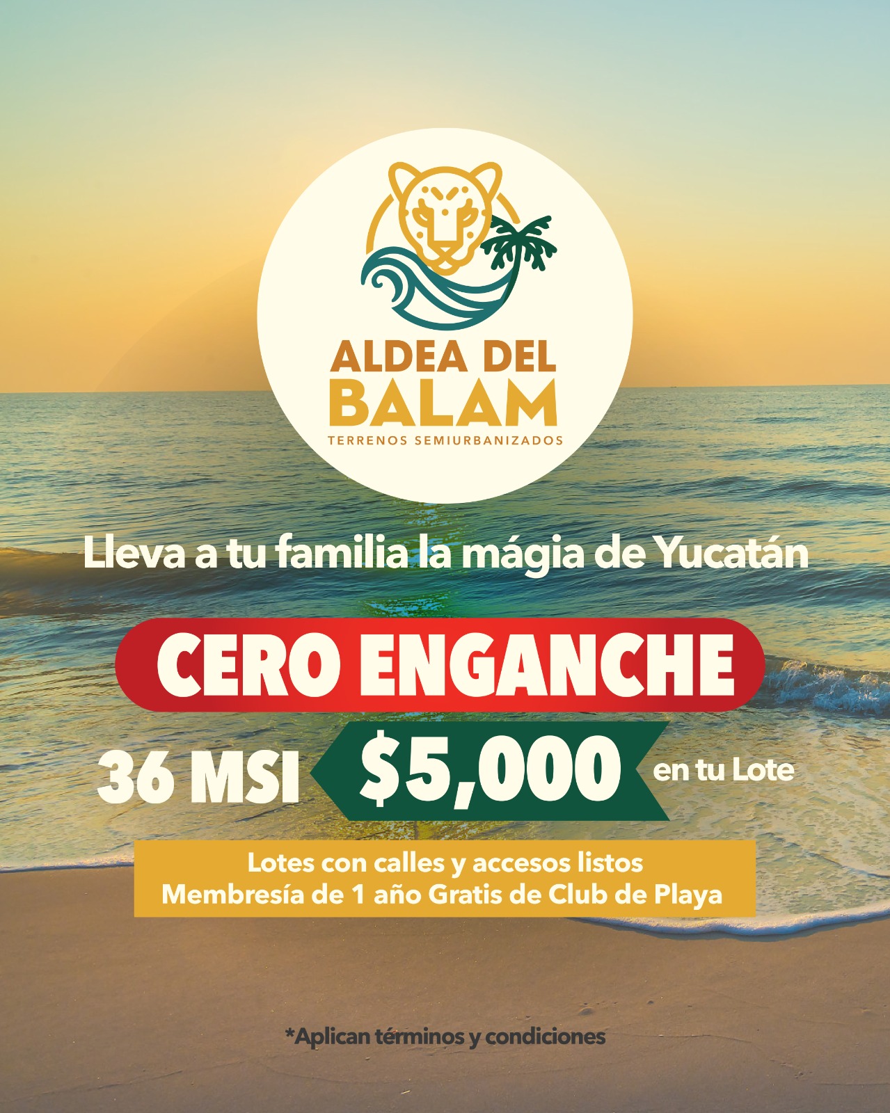 Promoción 1