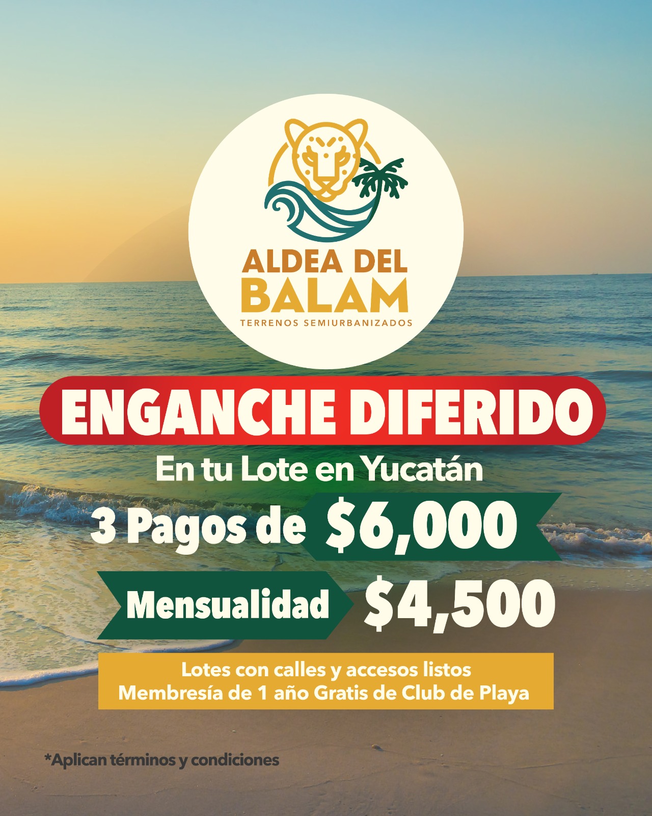 Promoción 2