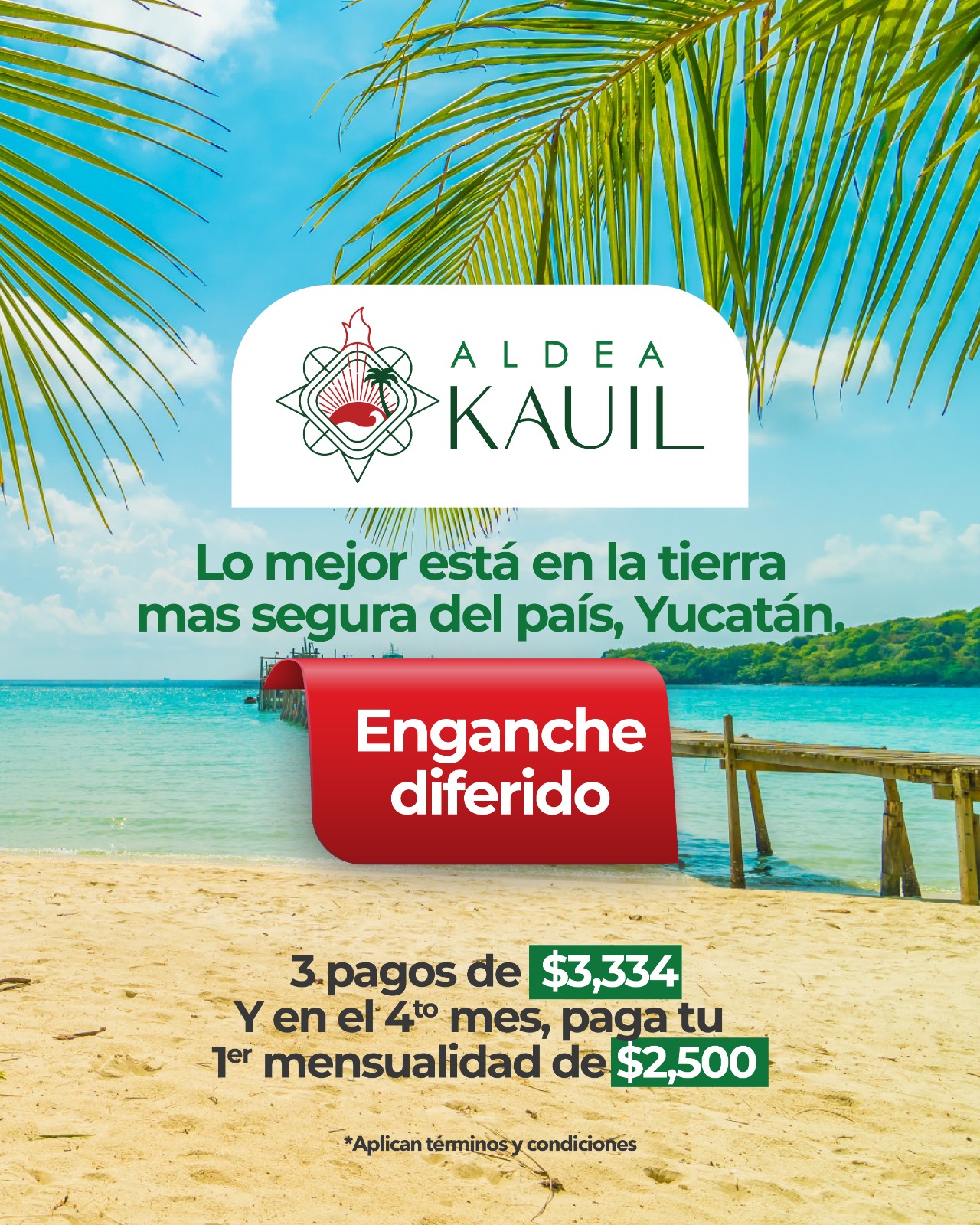 Promoción 8