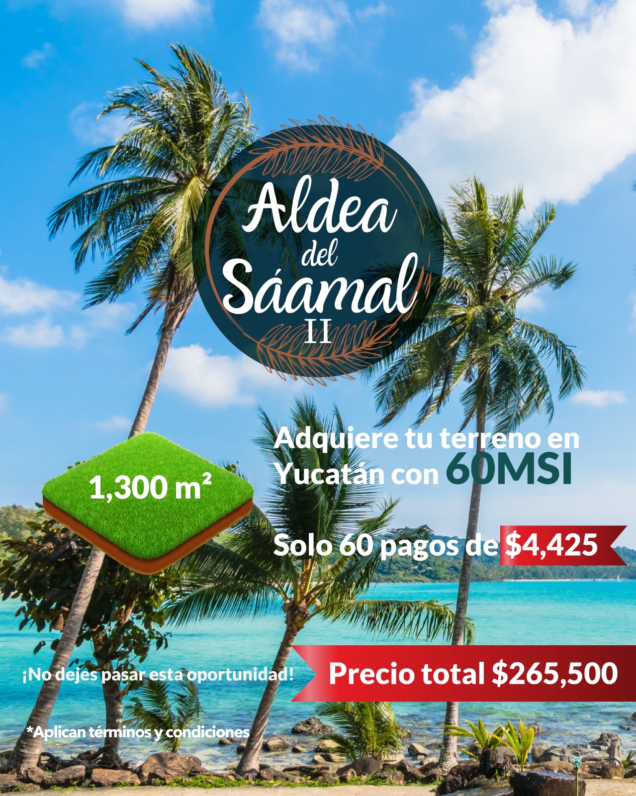 Promoción 15