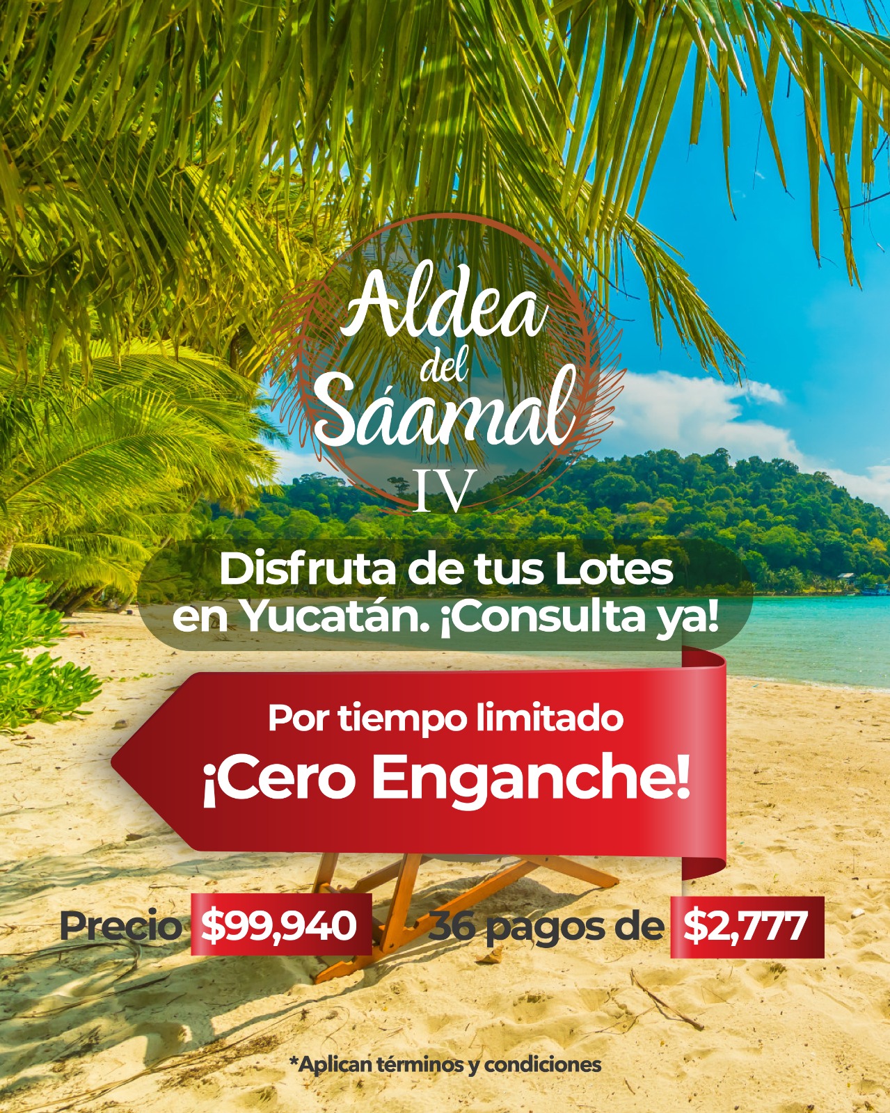 Promoción 16