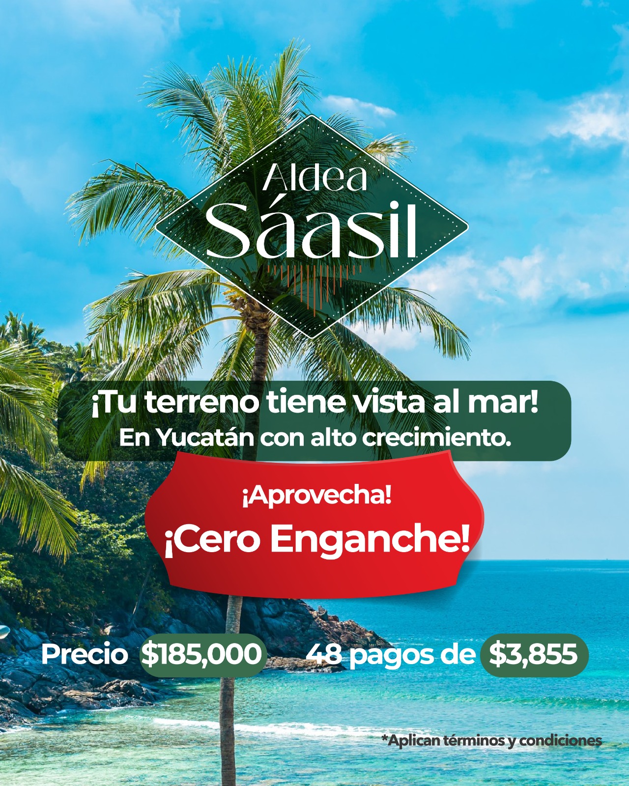 Promoción 19