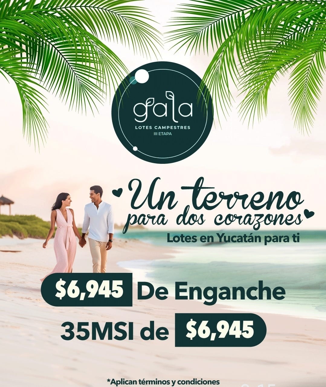 Promoción 5