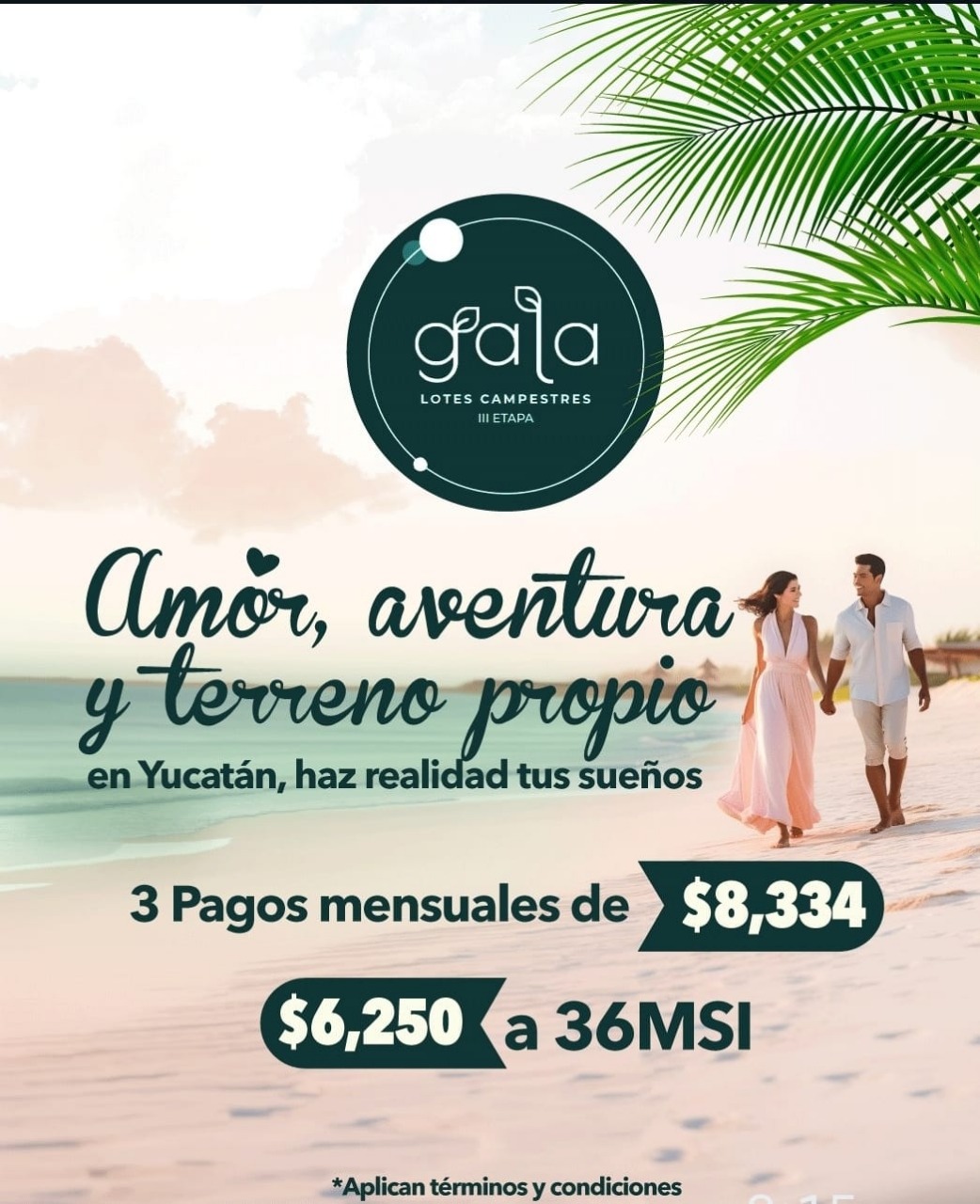 Promoción 6