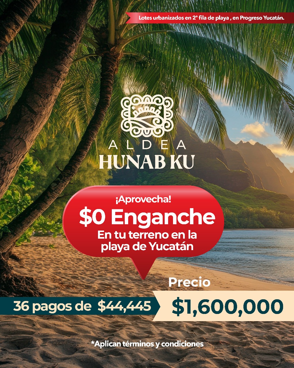 Promoción 3
