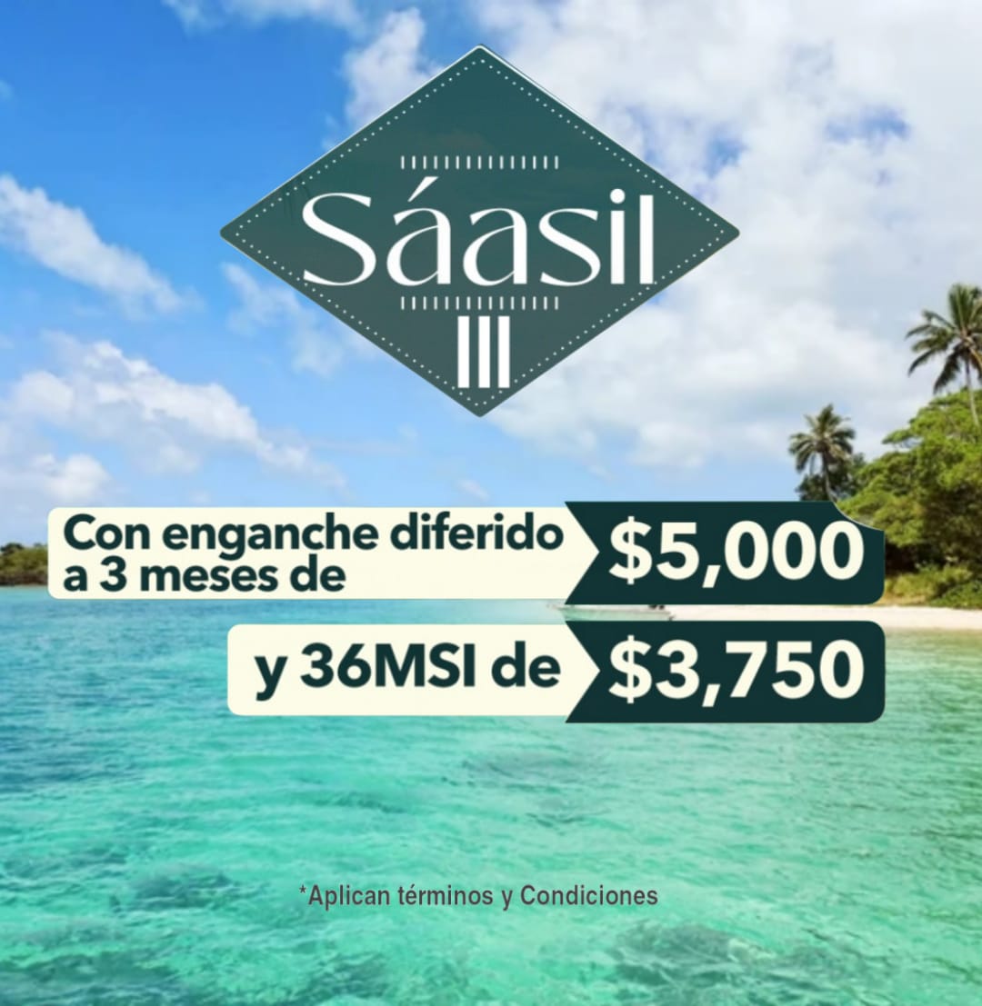 Promoción 11